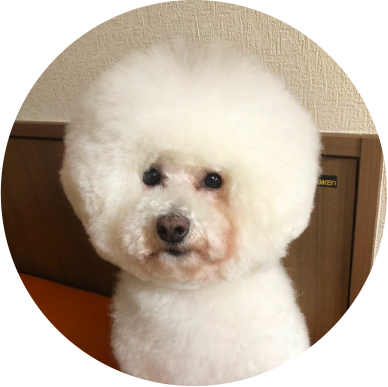 春日部でペットサロン・トリミングサロンN.dog grooming salonスタッフ画像